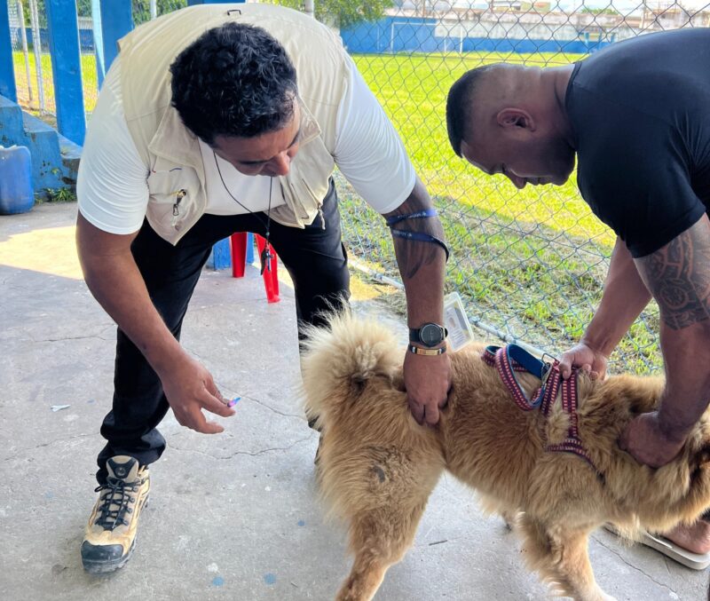 mais-de-8-700-animais-vacinados-contra-a-raiva-em-mesquita